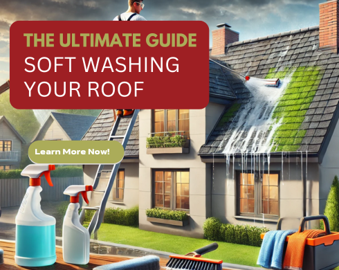 Soft Washing Your Roof Guide